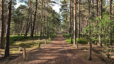 Wanderweg unweit von Prerow