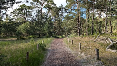 Wanderweg zum Strand