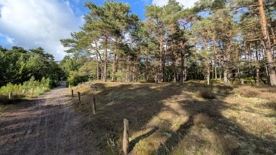 Wanderweg zum Campingplatz