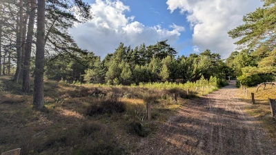 Wanderweg zum Campingplatz