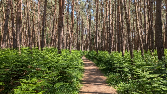 Kurzes Innehalten