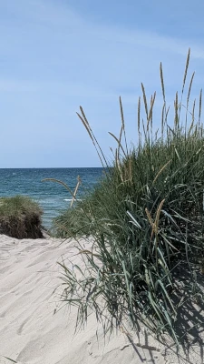 Weststrand &bdquo;Grüner Weg&ldquo;