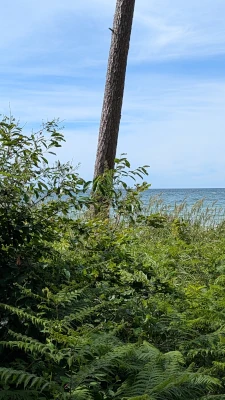 Weststrand &bdquo;Rehberge&ldquo;