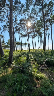 Weststrand &bdquo;Rehberge&ldquo;
