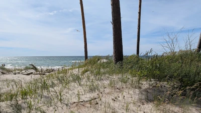 Blick auf das Meer