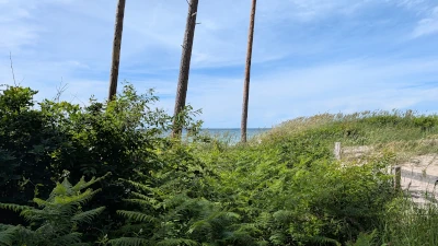 Weststrand &bdquo;Rehberge&ldquo;