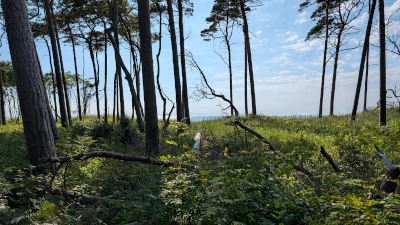 Rückkehr nach Prerow